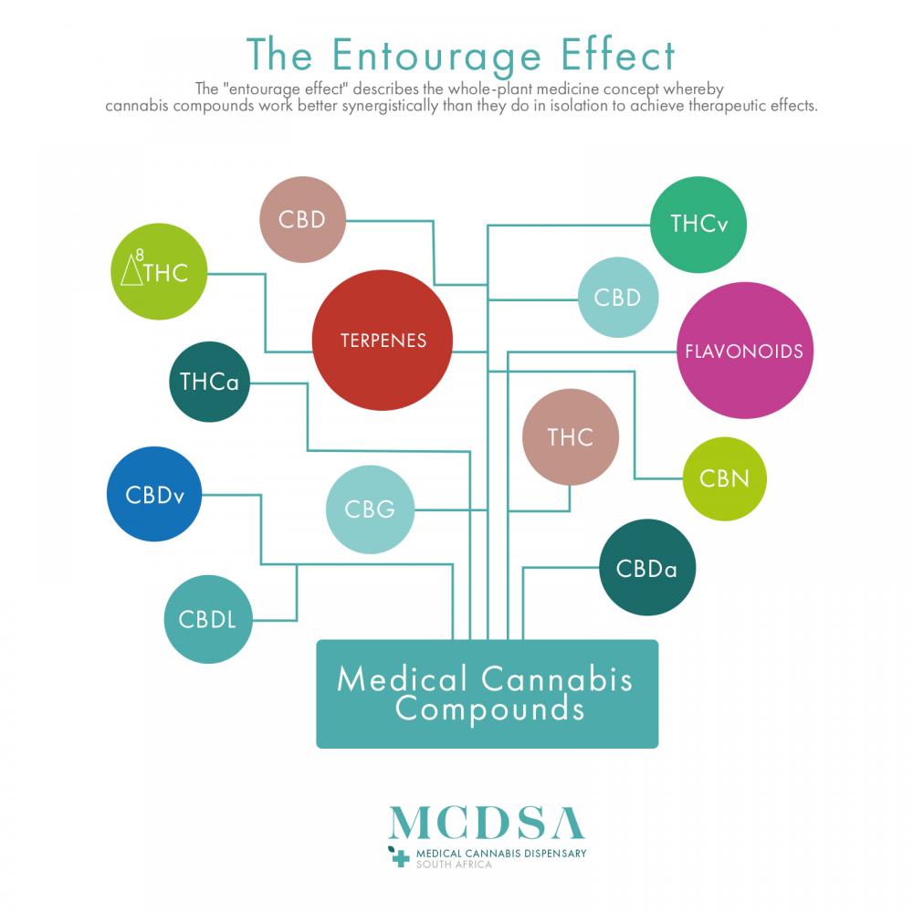 The entourage effect of medical cannabis compounds